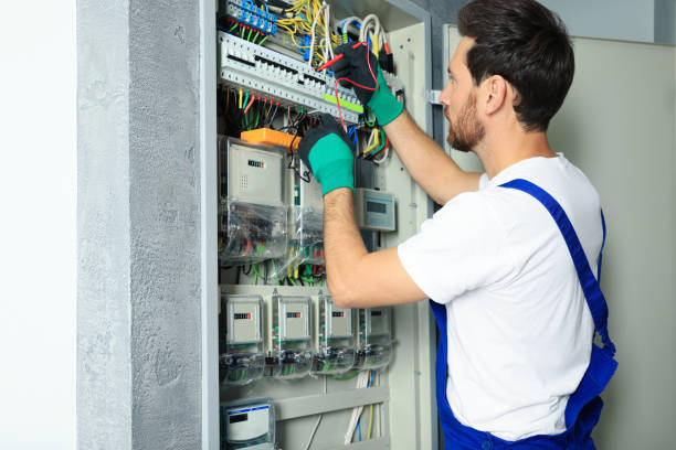 Best Ceiling Fan Installation Electrician  in Pelion, SC